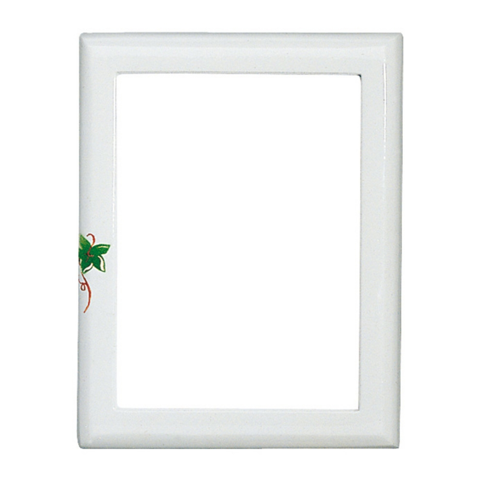 0000048 cornice in bronzo formato rettangolare finitura bianca con decorazione floreale linea olpe anturium 1000