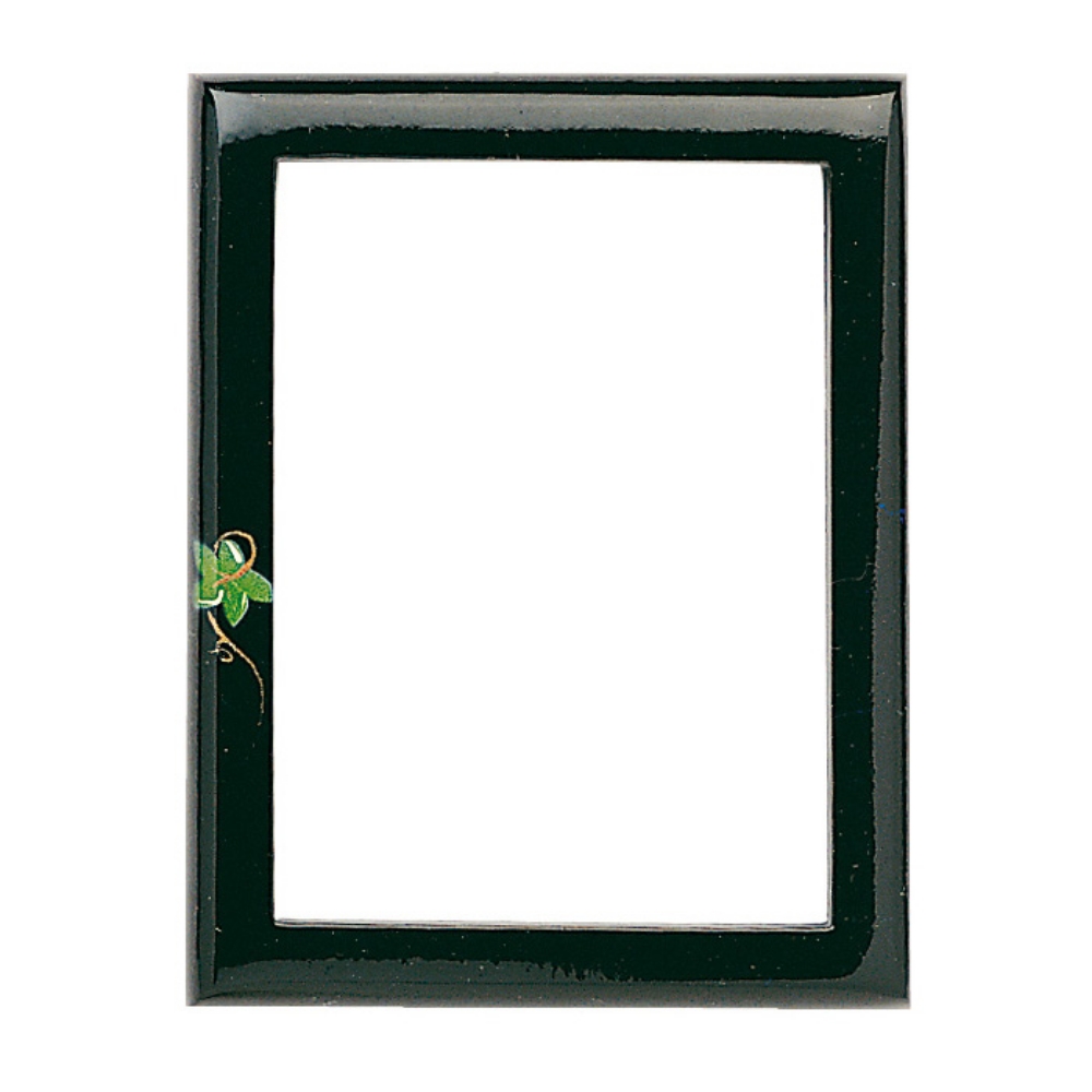 0000050 cornice in bronzo formato rettangolare finitura nera con decorazione floreale linea olpe nero edera 1000