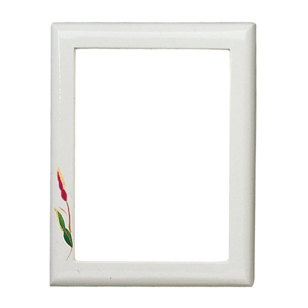 0000052 cornice in bronzo formato rettangolare finitura bianca con decorazione floreale linea olpe anturium 1000