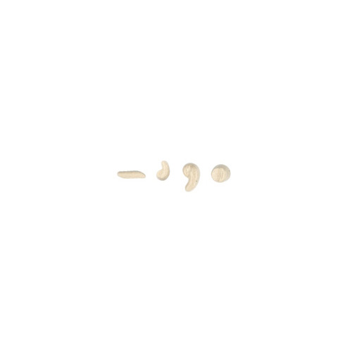 0001959 010143s